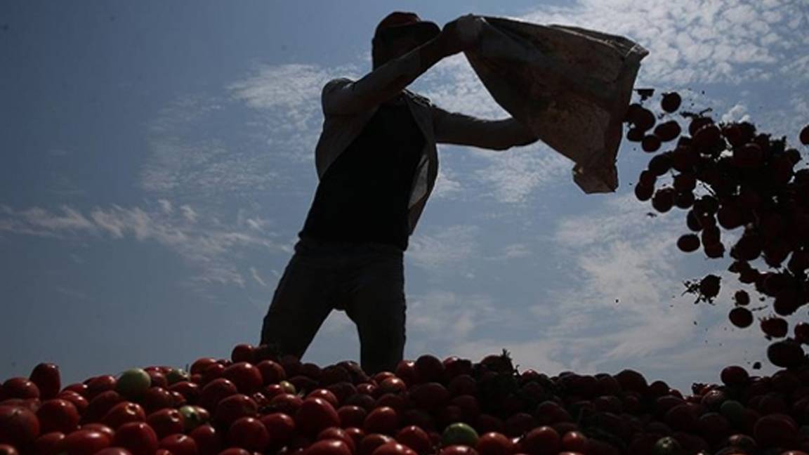 CHP'den mevsimlik tarım işçilerinin sıkıntılarına 10 unsurluk tahlil önerisi