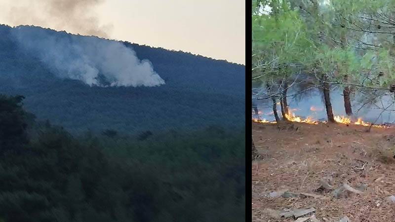 İzmir'de düşen yıldırım, ormanı yangını çıkardı