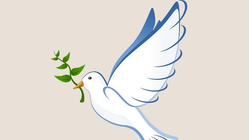 Türkiye PEN'den 1 Eylül iletisi: Bize bir gün barış yetmez, her günün Barış Günü olmasını istiyoruz!