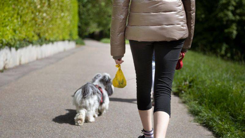 Hollanda’da sokağa dışkılayan köpekler ve sahipleri DNA testiyle bulunacak