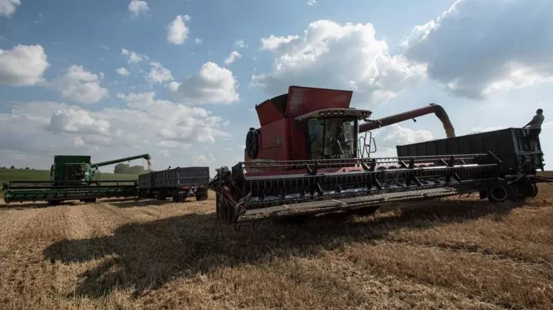 Polonya-Ukrayna tahıl krizi dünyayı nasıl etkileyecek?