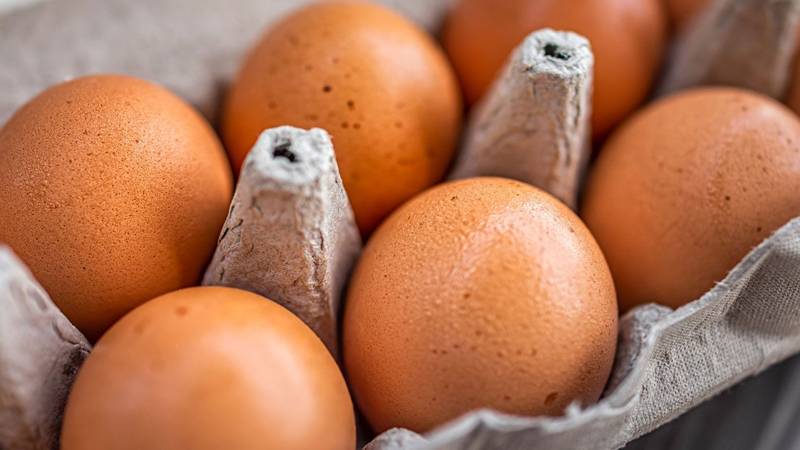 Yumurta üreticileri, Rekabet Heyeti'nde kelamlı savunma yapacak